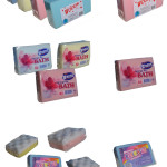 Other Sponges
